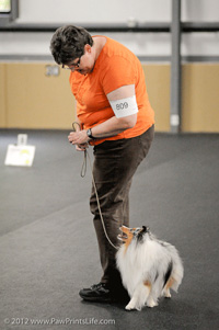 Trust and Respect Needed for Success in Dog Obedience